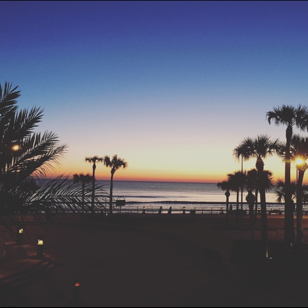 Meet your Posher, Amy